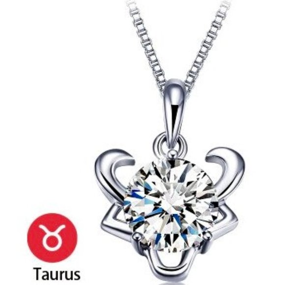 Zodiac Silver CZ  Necklace - Picture 5 of 15